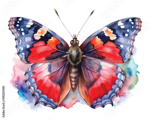 Watercolor Garden Butterfly Clipart, Red Admiral Nature Illustration, Isolated on White