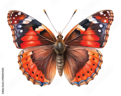 Hand-Painted Red Admiral Butterfly Watercolor, Nature Garden Insect Clipart, Isolated Vector Illustration