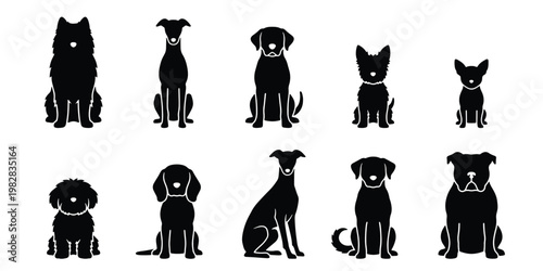 Minimalist dog breed silhouettes, set of 10 black canine icons, flat vector pet illustrations for veterinary and animal care branding