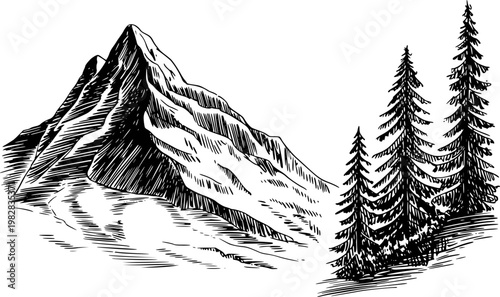 Hand-drawn of a mountain peak with pine trees, black ink white forest