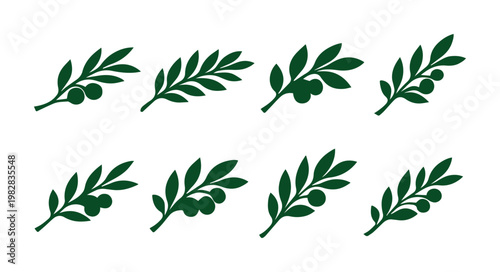 Olive branch vector set, eight dark green olive tree sprigs with fruit, natural Mediterranean plant elements for branding and packaging design