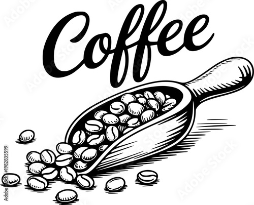 Vintage hand-drawn coffee beans in wooden scoop with calligraphy text