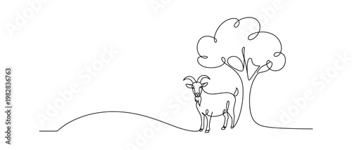 Goat standing under a tree on a hill