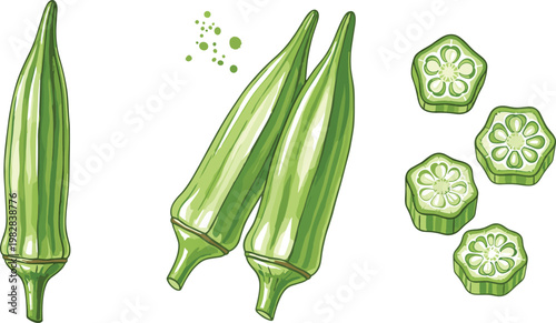 Okra Vegetable Illustration Set with Whole and Sliced Okra for Healthy Food, Organic Vegetables, and Nutrition Designs