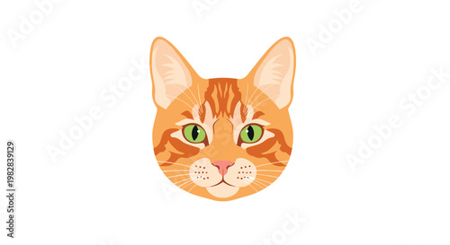 A detailed head portrait of a mature orange tabby cat features vibrant green eyes and long white whiskers set against a solid white background.