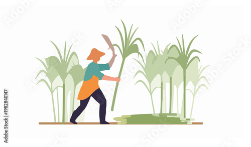 Sugarcane harvesting farmer working in field flat vector illustration