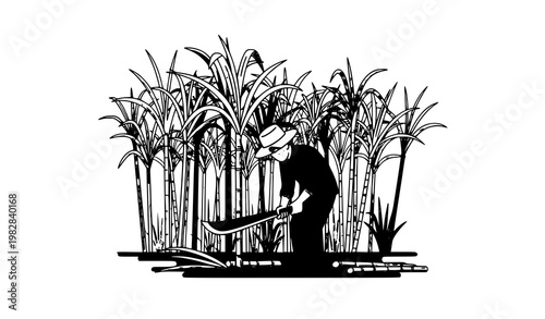 Farmer cutting sugarcane agriculture field vector illustration