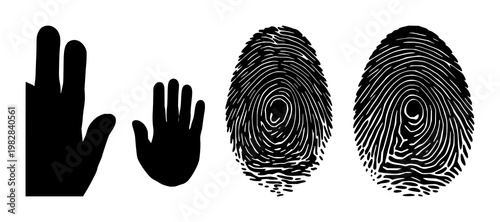 Fingerprint biometric silhouette set with abstract 3D outline design featuring biometric, fingerprint, security with digital and privacy