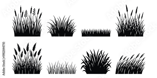 Black grass silhouettes set, 8 vector marsh reed and meadow plant elements, wild swamp vegetation icons for landscape design and nature borders