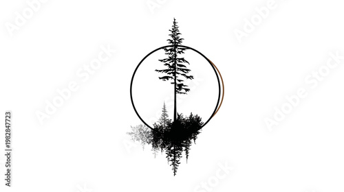Minimalist illustration of a conifer tree inside a circle, with a mirrored silhouette below