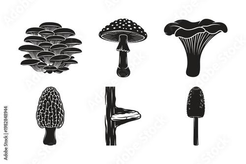 Forest mushroom species silhouette set bundle organic nature graphic.