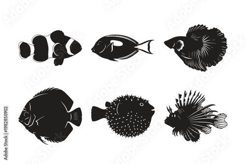 Silhouette set bundle of colorful exotic fish in aquarium.