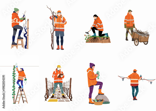 Professional agricultural workers performing seasonal vineyard maintenance and viticulture tasks in a flat vector illustration style.