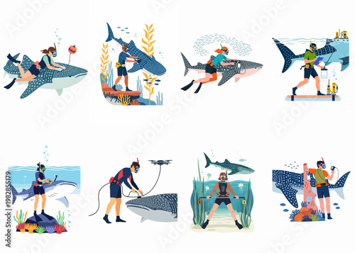 Illustrations of marine biologists and researchers studying, tagging, and monitoring whale sharks in their natural ocean environment.