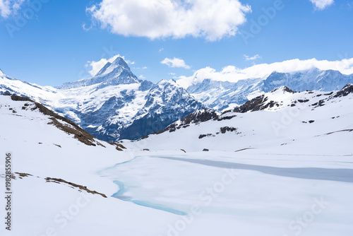 The Grindewald Valley and mountain trail in Switzerland. Swiss alps