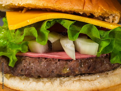 Tasty cheeseburger in detailed close view