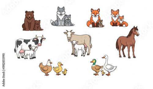 Animal family collection with cute cubs baby animals and parents vector