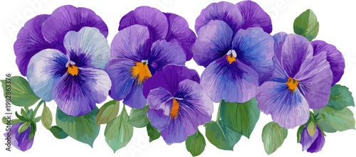 Bunch of purple pansies and green leaves in watercolor style, in clip art style, isolated on white background.