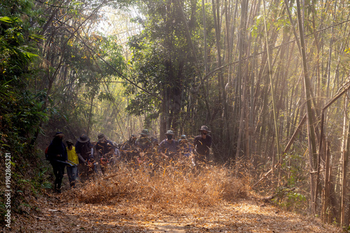Canvas-taulu Wildfire prevention team creating firebreak clearing dry bamboo forest with leaf