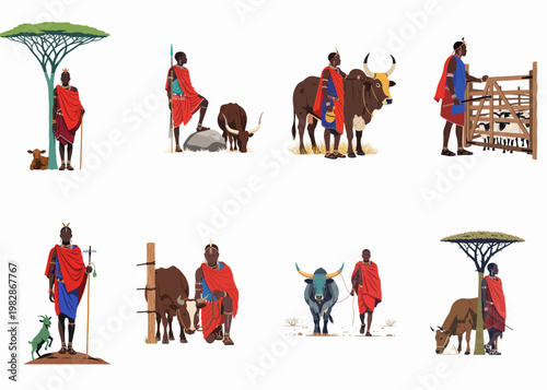 Collection of Maasai warriors and herders in traditional shuka clothing with livestock and savanna elements, vector illustration set.