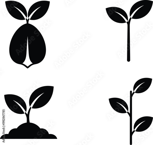 The image depicts four distinct stages of plant growth showcasing a seed sprouting developing leaves and a young seedling with roots