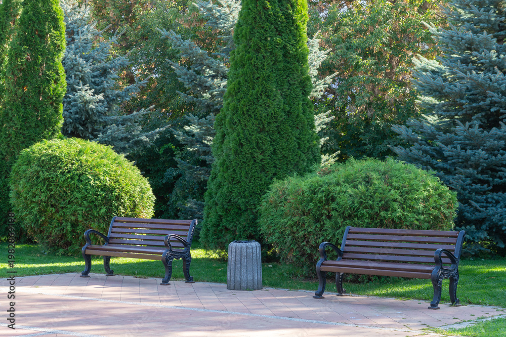 Fototapeta premium A couple of benches in a green park