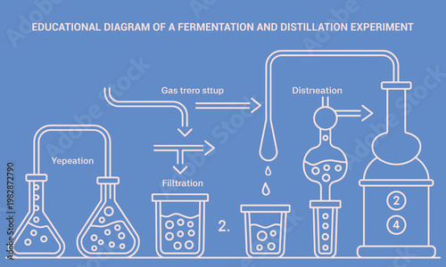 Educational diagram of a fermentation and distillation experiment process Vector