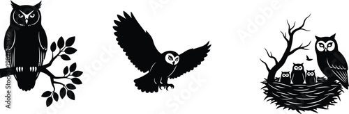 Black silhouette set of owls perched, flying, and nesting with owlets