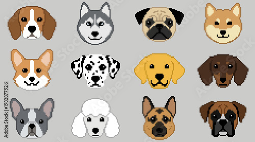 Collection of various dog breeds faces.
