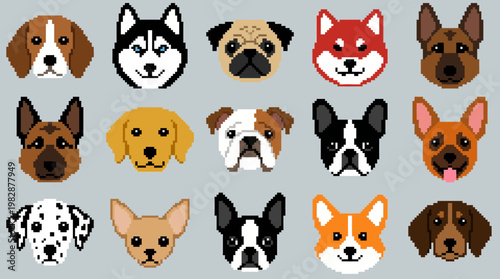 Collection of various dog breeds illustration.