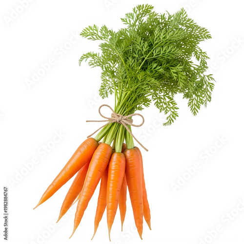 Fresh carrots with green leafy tops isolated on white background