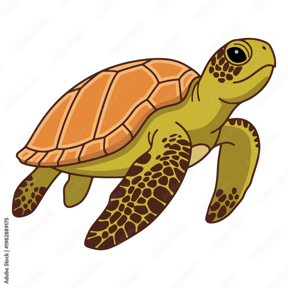 Fototapeta premium Green Sea Turtle Swimming Clipart Isolated on a Transparent Background