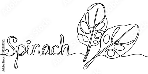 Continuous line drawing of the word spinach next to two stylized spinach leaves