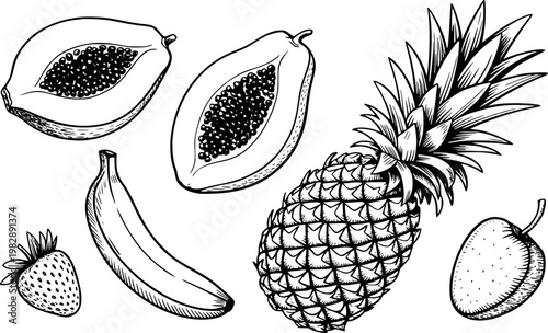 Hand-drawn tropical fruits collection: pineapple, papaya, banana, and strawberry