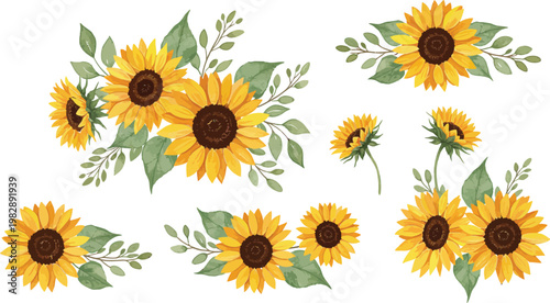 A bright yellow sunflower blossom with green leaves is isolated on a white background, capturing the natural beauty of this summer floral plant in a beautiful closeup