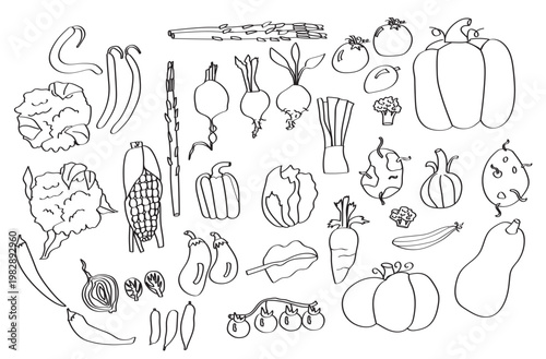 black and white vegetable collection