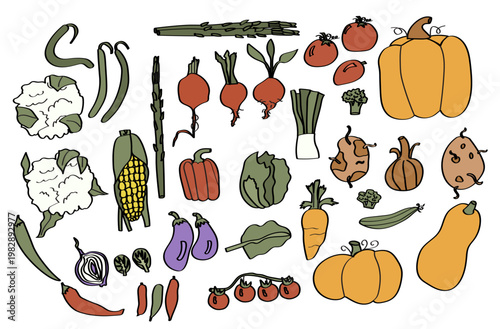 vegetable graphics collection