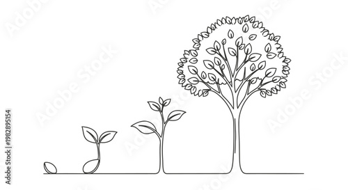 Tree growth stages from seed to mature tree in a simple sketch
