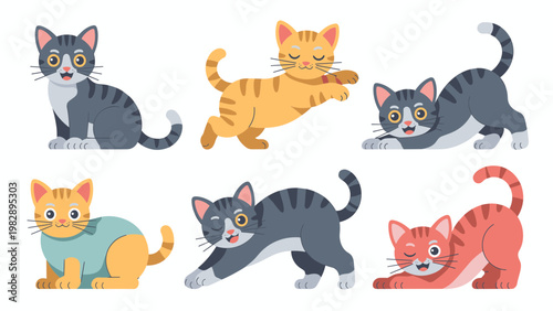 Flat Cat Poses Set Cartoon Kitten Vector Collection Cute Pet Illustration