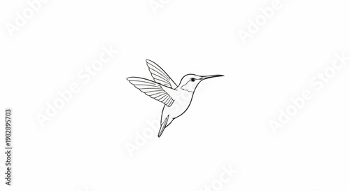 Line art of a hummingbird in flight, wings spread, on white