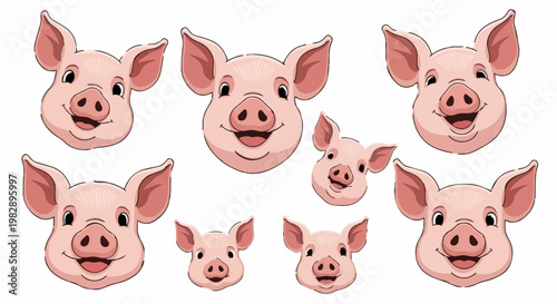 Ultra HD 4K video of happy pigs in original content for commercial use