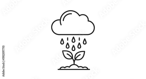 Small plant growing in the rain.