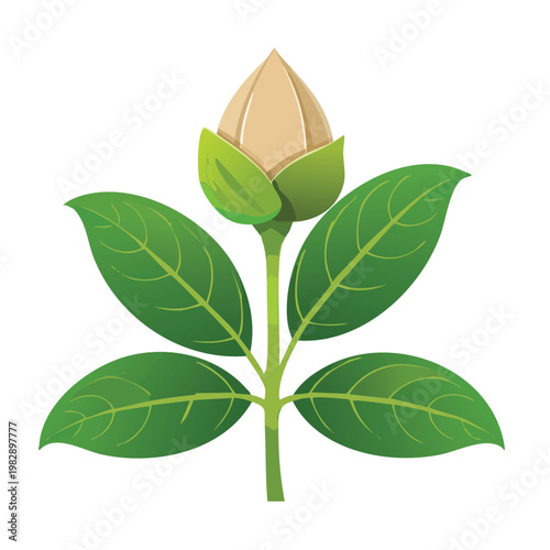 Stylized illustration of a sprouting plant with green leaves and a seed
