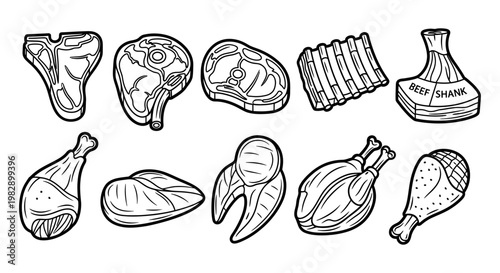 Butcher cut meat types and poultry illustration set