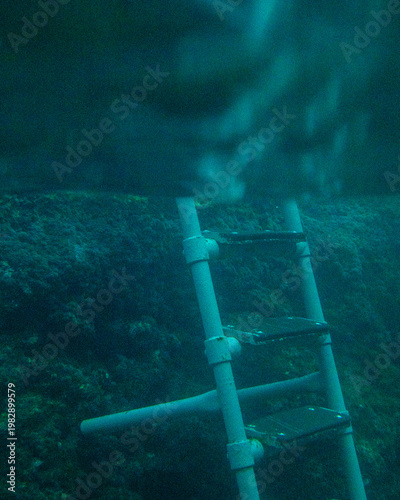 Canvastavla A submerged metal ladder descends into deep, murky water beside a rocky underwater wall, suggesting access for divers or swimmers in a natural aquatic setting