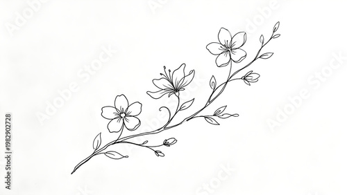 Blossoming branch serene minimalist line drawing representing natural movement on white background