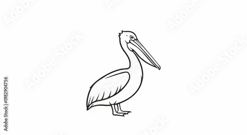 Line drawing of a pelican standing against a white background