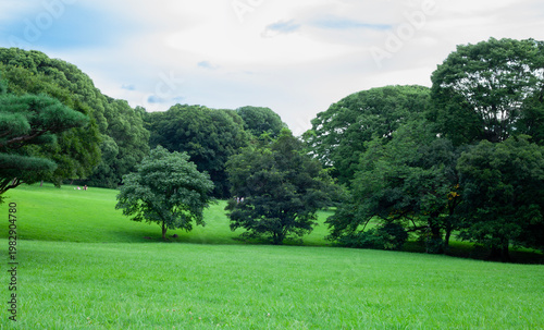 beautiful public park in Tokyo Japan
