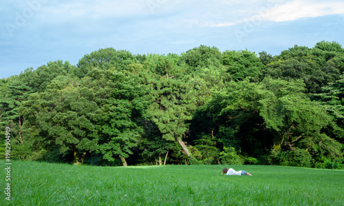 beautiful public park in Tokyo Japan
