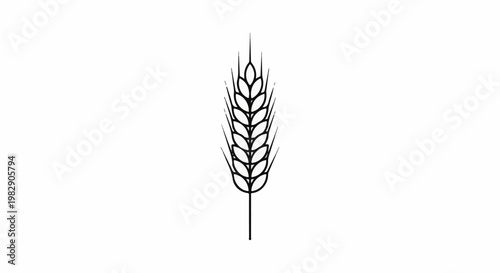 Stylized outline of a single wheat stalk on a white background